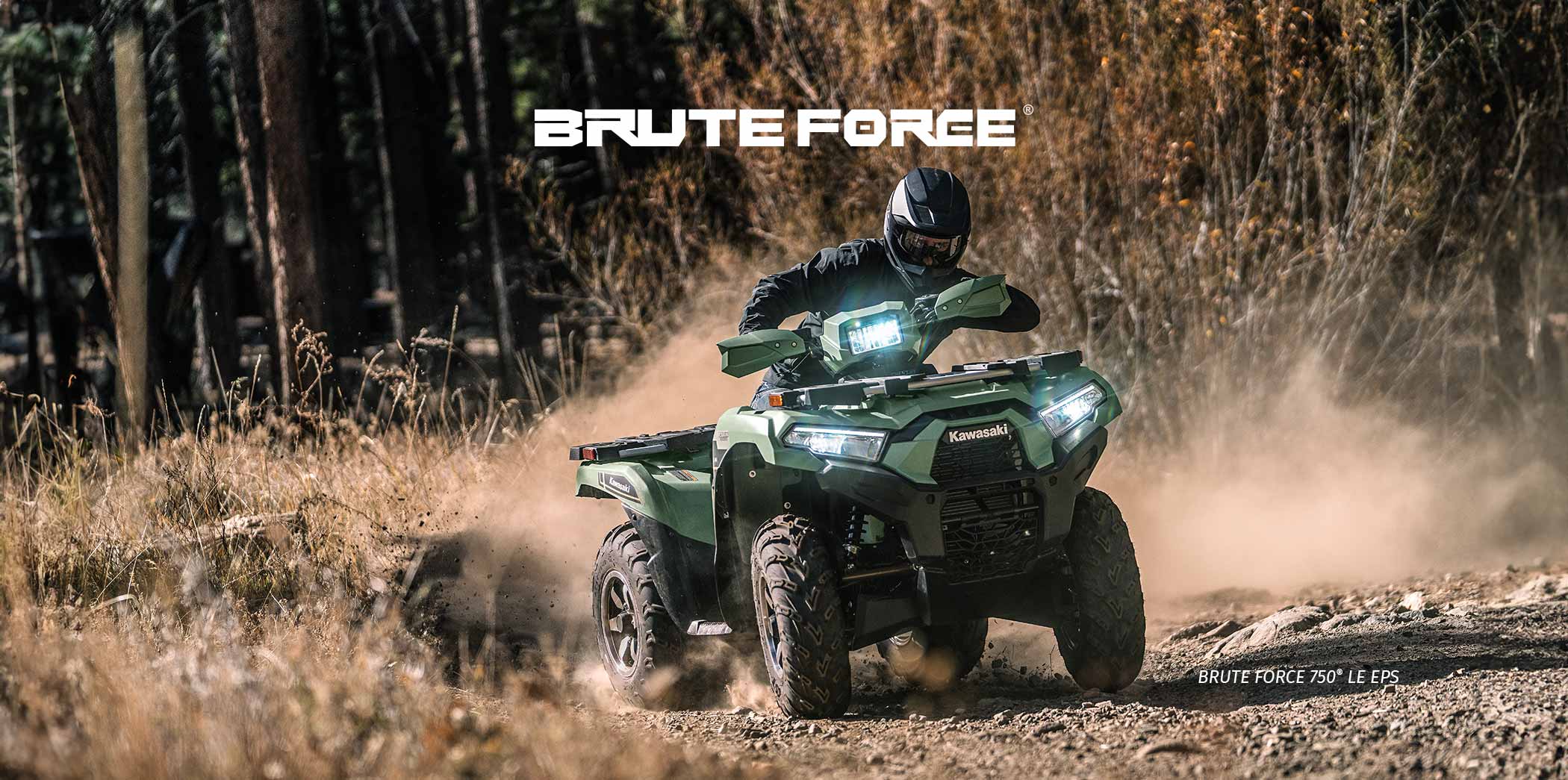 Brute Force FAMILY: