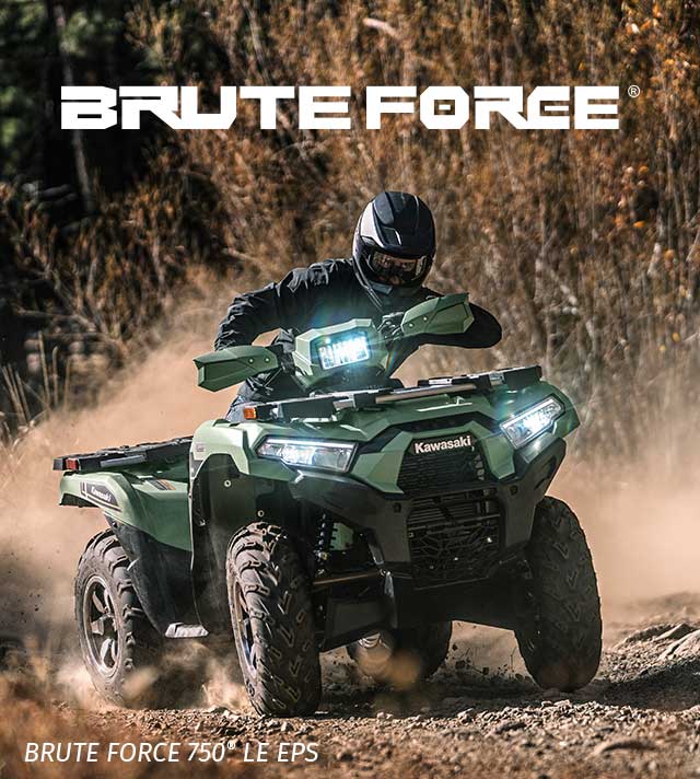 Brute Force FAMILY: SMALL IMAGE